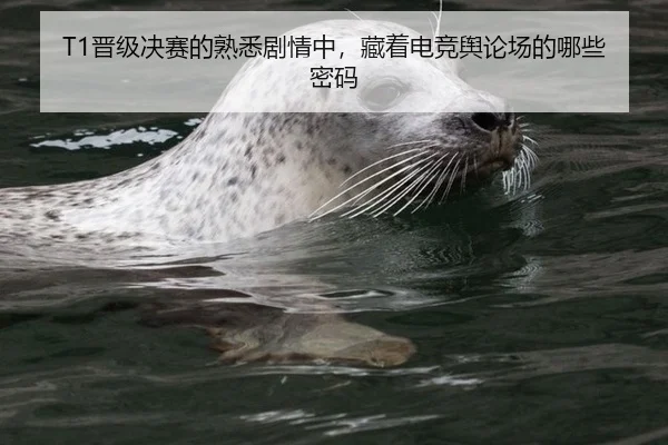 T1晋级决赛的熟悉剧情中，藏着电竞舆论场的哪些密码